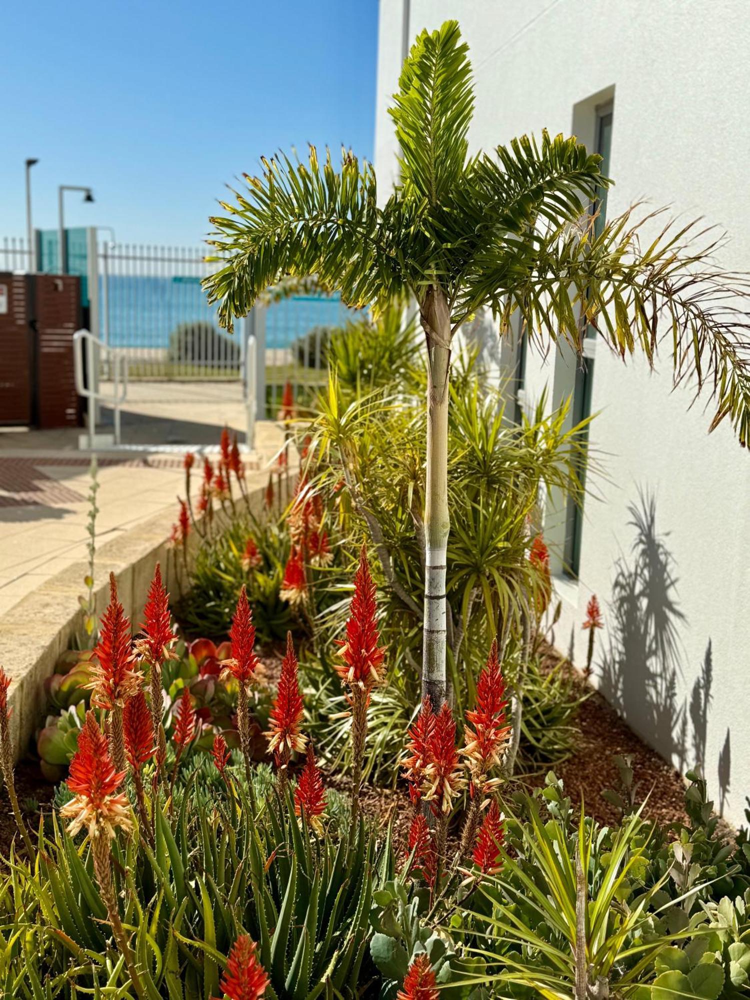 Tempel By The Sea Mandurah Extérieur photo
